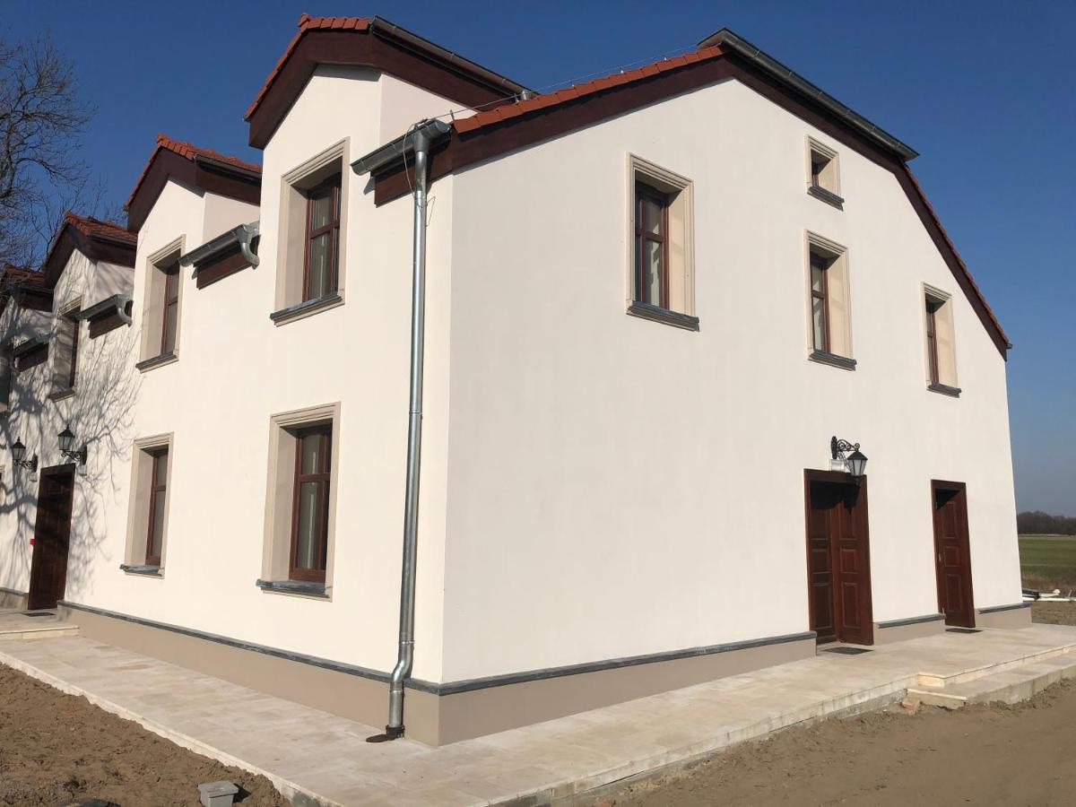 Dwór Gogolewo nad Wartą Acomodação com café da manhã Ksiaz Wielkopolski Exterior foto